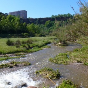 Ciutadans (C's) de Sabadell demanarà explicacions a la Generalitat sobre la contaminació del riu Ripoll