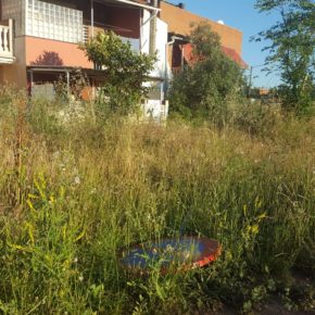 Ciudadanos (Cs) Sabadell alerta del estado de abandono del Parc del Nord en el Torrent del Capellà