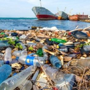 Ciudadanos (Cs) Sabadell propone eliminar los plásticos de un solo uso de las dependencias municipales