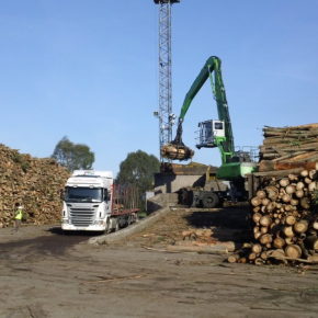 Ciudadanos pedirá la inclusión de la biomasa forestal en los planes de actuación municipal